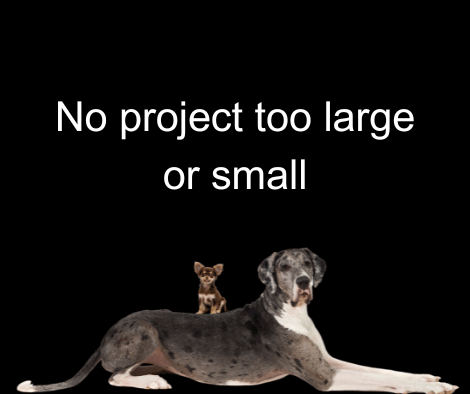 Carr-Designs-SEO-optimisation-SEO-London Big dog and little dog Carr Designs SEO optimisation SEO London Big dog and little dog